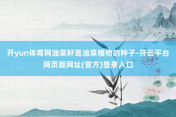 开yun体育网油菜籽是油菜植物的种子-开云平台网页版网址(官方)登录入口