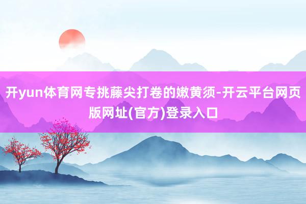 开yun体育网专挑藤尖打卷的嫩黄须-开云平台网页版网址(官方)登录入口