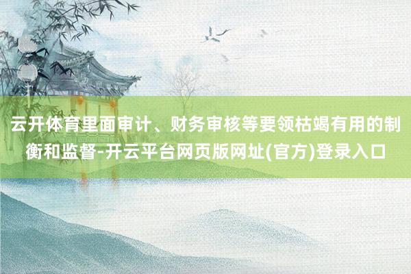 云开体育里面审计、财务审核等要领枯竭有用的制衡和监督-开云平台网页版网址(官方)登录入口
